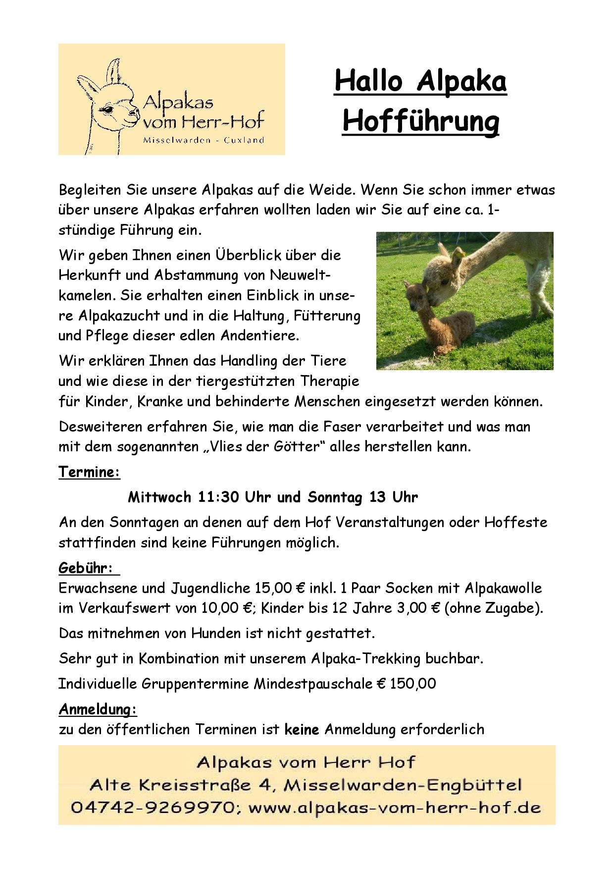 Gutschein Hallo Alpaka Hofführung