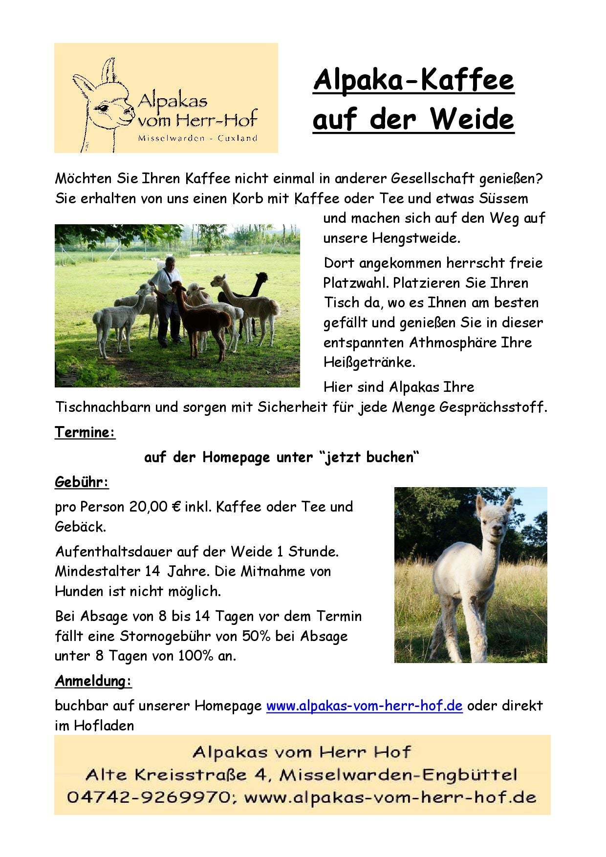 Gutschein Alpaka-Kaffee auf der Weide