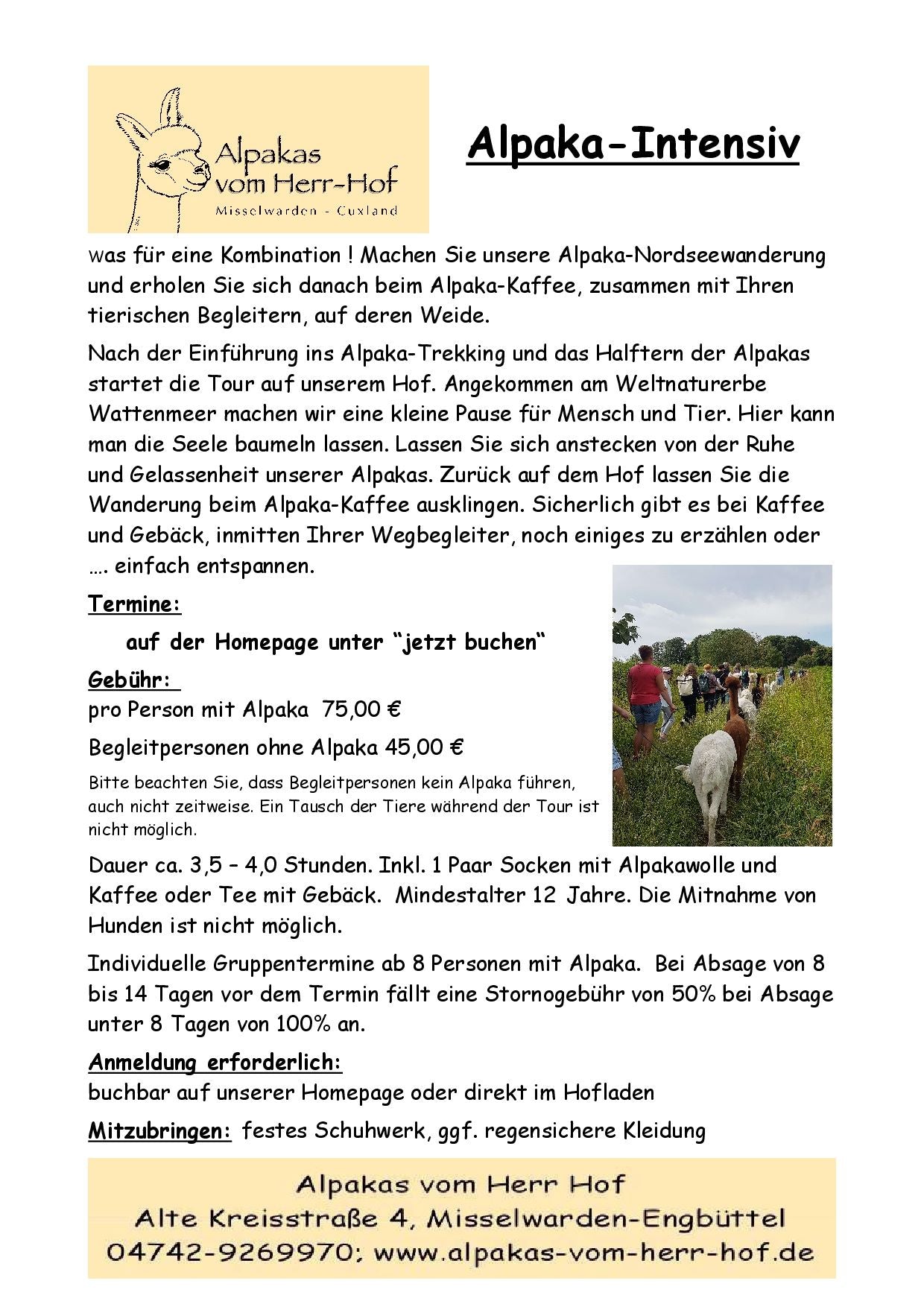 Gutschein Alpaka-Intensiv (Nordseewanderung mit Alpaka-Kaffee auf der Weide)